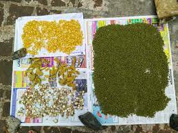 Homemade Ubtan Traditional Bath Powder Swarna Prashana