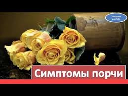 как узнать есть ли на вас порча или сглаз Simptomy Porchi Kak Opredelit Simptomy Porchi Kak Uznat Chto Na Cheloveke Porcha Simptomy I Priznaki Porchi U Zhenshiny V 2020 G Poleznye Sovety Tajnik