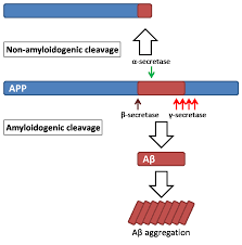 Zoektocht naar tanja groen na paar uur al gestopt. Https Docserv Uni Duesseldorf De Servlets Derivateservlet Derivate 38508