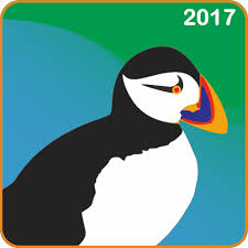 In this release (9.4.0.50957), we fixed several reported issues. New Puffin Web Browser Advice Pro Apk 1 0 0 Download Apk Latest Version