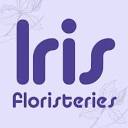 FLORISTERIA IRIS