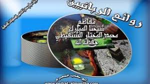 موسوعة الزاد الشنقيطي فتاوى الصلاة