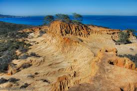 Critic reviews for torrey pines. Torrey Pines State Natural Reserve Hiking San Diego County