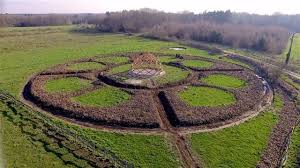 Ressourcez Vous Dans Un Jardin Mandala Foisonnant De Vie Jardin Foret Jardins Projets De Jardins