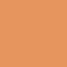 You will explore the shades which you also didn't know about existence. Outgoing Orange Sw 6641 Orange Paint Color Sherwin Williams