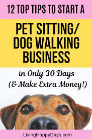 12 Top Tips To Start A Pet Sitting Dog Walking Business In Only 30 Days Pet Sitters Dog Walking Business Pet Sitter Business