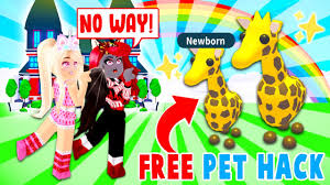 Watch prezley's other videos to see how to make heaps of money to get new eggs and new pets in adopt me. How To Get A Free Legendary Pet Pregnancy Hack In Adopt Me Roblox Youtube