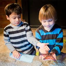 Welcome To Seaquest Utah Utah Seaquest Aquariums Las Vegas With Kids Aquarium Las Vegas Las Vegas