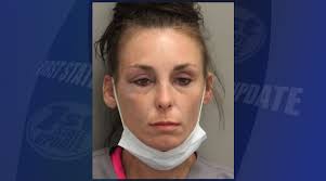 Police: Woman Facing Theft And Burglary Charges