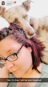 can't post in teacup schnauzer group