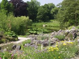Im verband botanischer gärten sind rund 97 dr. Stadt Munster Munster Marketing Altstadt Botanischer Garten