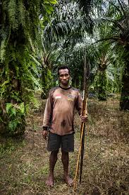 The Consultant: Why did a palm oil conglomerate pay $22m to an unnamed  'expert' in Papua?
