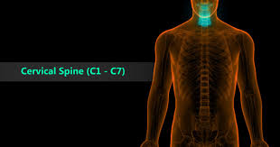 Va Disability Rating For Radiculopathy Explained The Definitive Guide Va Claims Insider