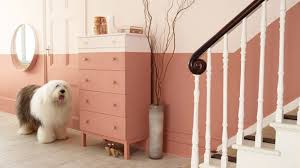 Dutch cocoa sw 6032 scanda sw 6529 anjou pear sw 6381 lucent yellow sw 6400. Hallway Inspiration 6 Hallway Paint Ideas Dulux
