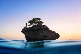 Christmas island, island in the indian ocean administered as an external territory of australia. The Real Christmas Island William Patino Photography