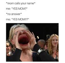 Pt 3 Of Meryl Streep Yelling Things From The Audience Meme Funny Laugh Really Funny Memes Funny Relatable Memes