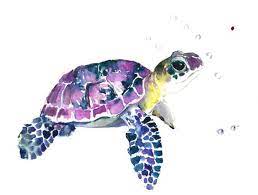 Pin By Shari Labrenz On Sea Turtles Sea Turtle Art Turtle Painting Turtle Watercolor
