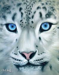 Electronics Cars Fashion Collectibles Coupons And More Ebay Snow Leopard Animals Painting Snow