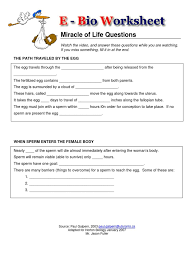 The Miracle Of Life Worksheet Kids Activities