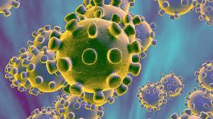 News und hintergründe zur coronavirus pandemie: Coronavirus Oder Covid 19 Resort Walensee Schweiz