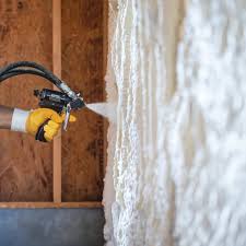 Image result for Memecylon insulare