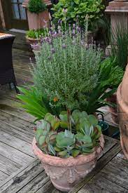 Welcome sweetness in the shape of this artificial lavender topiary tree. Crushing On Lavender Topiaries Fox Hollow Cottage