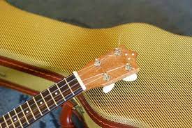 The Importance Of Ukulele Nut Width Beginners Tips