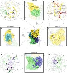 We did not find results for: Engaging Chromatin Prc2 Structure Meets Function British Journal Of Cancer