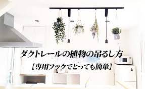 ダクトレールの植物の吊るし方 専用フックでとっても簡単 インテリア グリーン 吊るす キッチン植物 インテリア 収納
