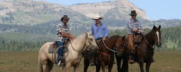 The rider sits on the pony with full weight, enjoying her strength to the maximum. Yellowstone Horses Offers A Cowboy Cookout And Horseback Ride That Can T Be Beat