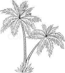 vector of beautiful tree palm tree drawing tree drawing tree art