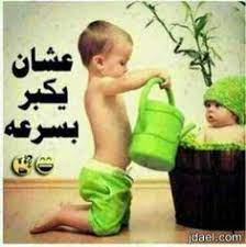 نكت وكلام بالصور مضحكه تعدل المزاج fun quotes funny funny study quotes funny arabic quotes