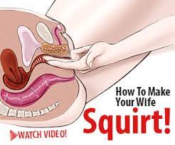 The fluid released during female ejaculation is very similar to the fluid produced by the prostate gland in men. How To Make A Woman Sqirt Collectingbukowski Com