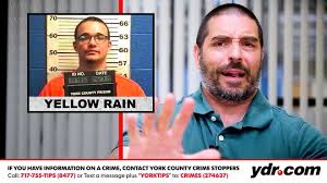 Ve la luz 'poeta en nueva york' tal y como garcía lorca lo concibió. York Pa Shooting 14 Year Old To Stand Trial In Murder Case