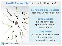 Esiste lo stile di vita sano. Fertilita Maschile Come Aumentarla Indice Test Ed Alimentazione
