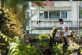 Frank Huang Urban Garden Guerrilla Gardening Franks