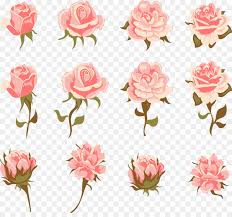 We did not find results for: Pink Flowers Background Png Download 1230 1127 Free Transparent Garden Roses Png Download Cleanpng Kisspng