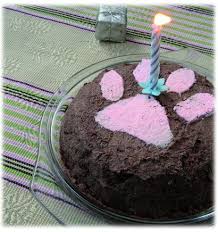 Pour le gâteau moelleux au chocolat: Recettes De Gateau D Anniversaire Pour Chien Et Chat Mystere Naturel