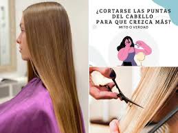 Cuánto crece el pelo mes a mes: Cuanto Crece El Pelo En Una Semana Un Mes Y Un Ano Blogmujeres Com
