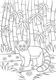 Check out amazing redpanda artwork on deviantart. Coloring Pages Little Cute Red Panda In The Forest Stock Vector Illustration Of Black China 141139408