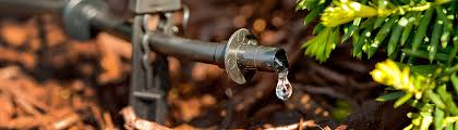 Don't lose water to evaporation or let it run down the drain. Drip Irrigation Rain Bird
