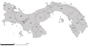 Image result for Erythrocephalum decipiens