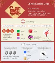 Year Of The Dog Personality And 2020 Prediction Career Wealth And Love Recent Dog Years Are 2030 2018 2006 1994 1970 1982