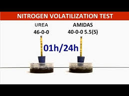 It is easily soluble in water. Nitrogen Volatilization Test Amidas Vs Urea Youtube
