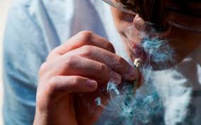La aprobación con 8 votos a favor y 3 en contra fue suficiente para anular los cinco artículos de la ley general de salud que impiden el consumo. Corte Elimina Prohibicion Del Uso Ludico De La Marihuana Aristegui Noticias