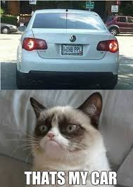 Sure I M Not Going To Deny That I Like Tarder Sauce The Grumpy Cat Or I Should Say That I Apprecia Funny Grumpy Cat Memes Grumpy Cat Meme Grumpy Cat Quotes