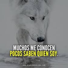 Bien Yo Diario De Un Lobo Lobo Solitario Frases Y Frases De Lobos