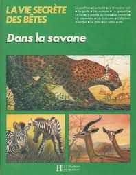 Dans La Savane Michel Cuisin Savane Michel Babouin