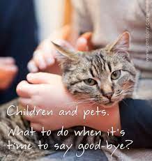 Intense grief over the loss of a pet is normal and natural. 10 Tips To Help Children With The Death Of A Pet Cat