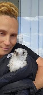 Rescuing a seagull with a broken wing